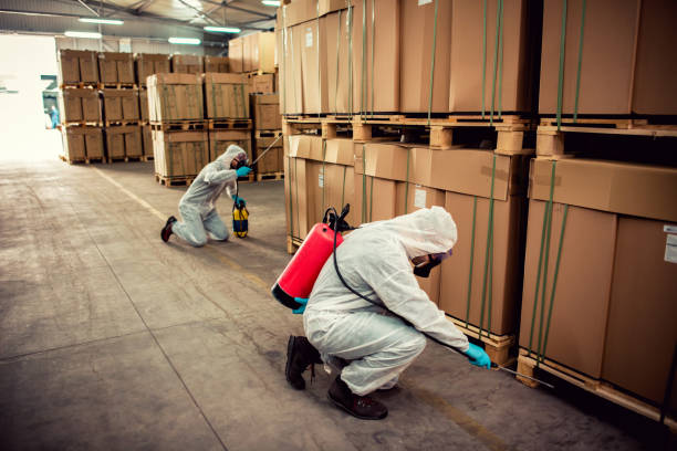 Best Flea Control Services  in Archbold, OH