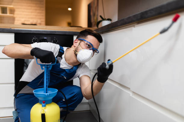Best Mosquito Control Services  in Archbold, OH