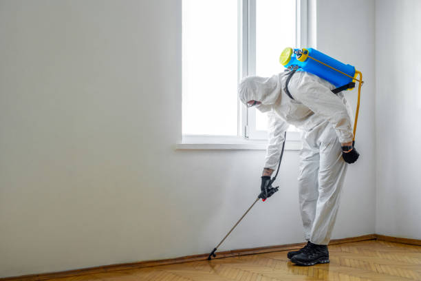 Best Affordable Pest Control Services  in Archbold, OH