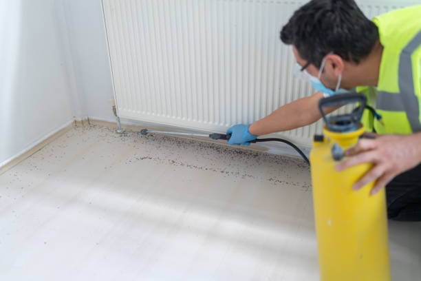 Best Affordable Pest Control Services  in Archbold, OH