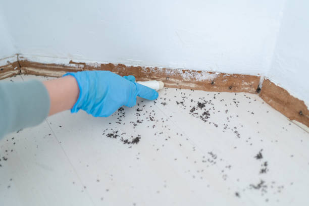 Pest Prevention Services in Archbold, OH